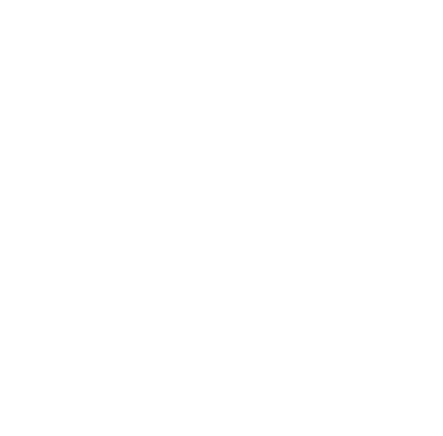 Logo Flow&Bliss Blanco